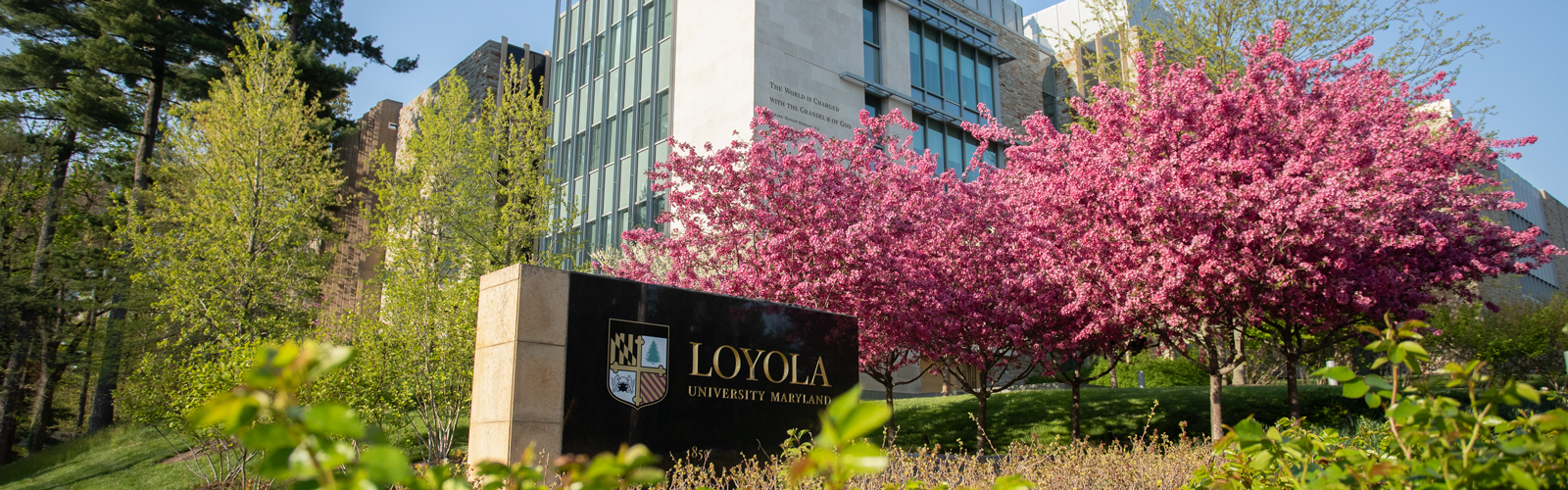campus in a spring 