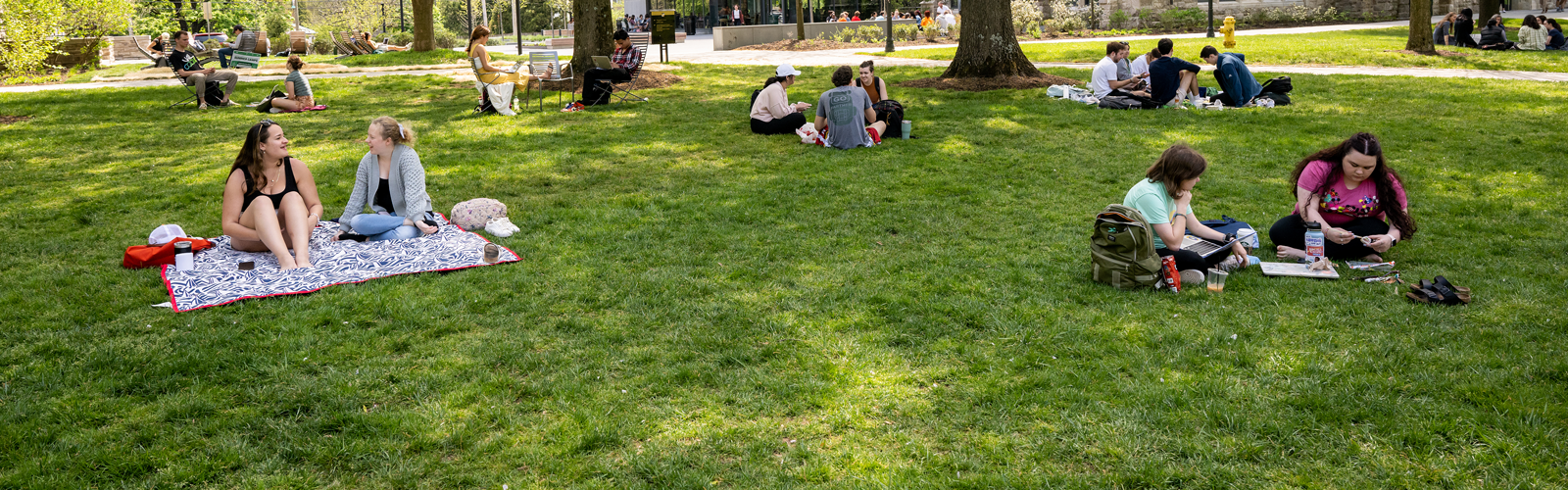 students sitting outside on grass on campus